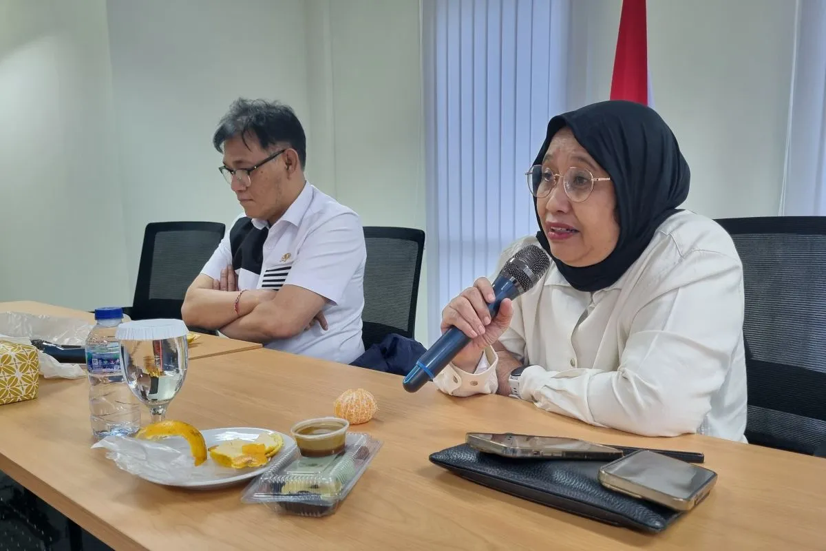 Efisiensi APBN 2025: Bukan untuk Makan Bergizi Gratis, Melainkan Investasi Mega Proyek