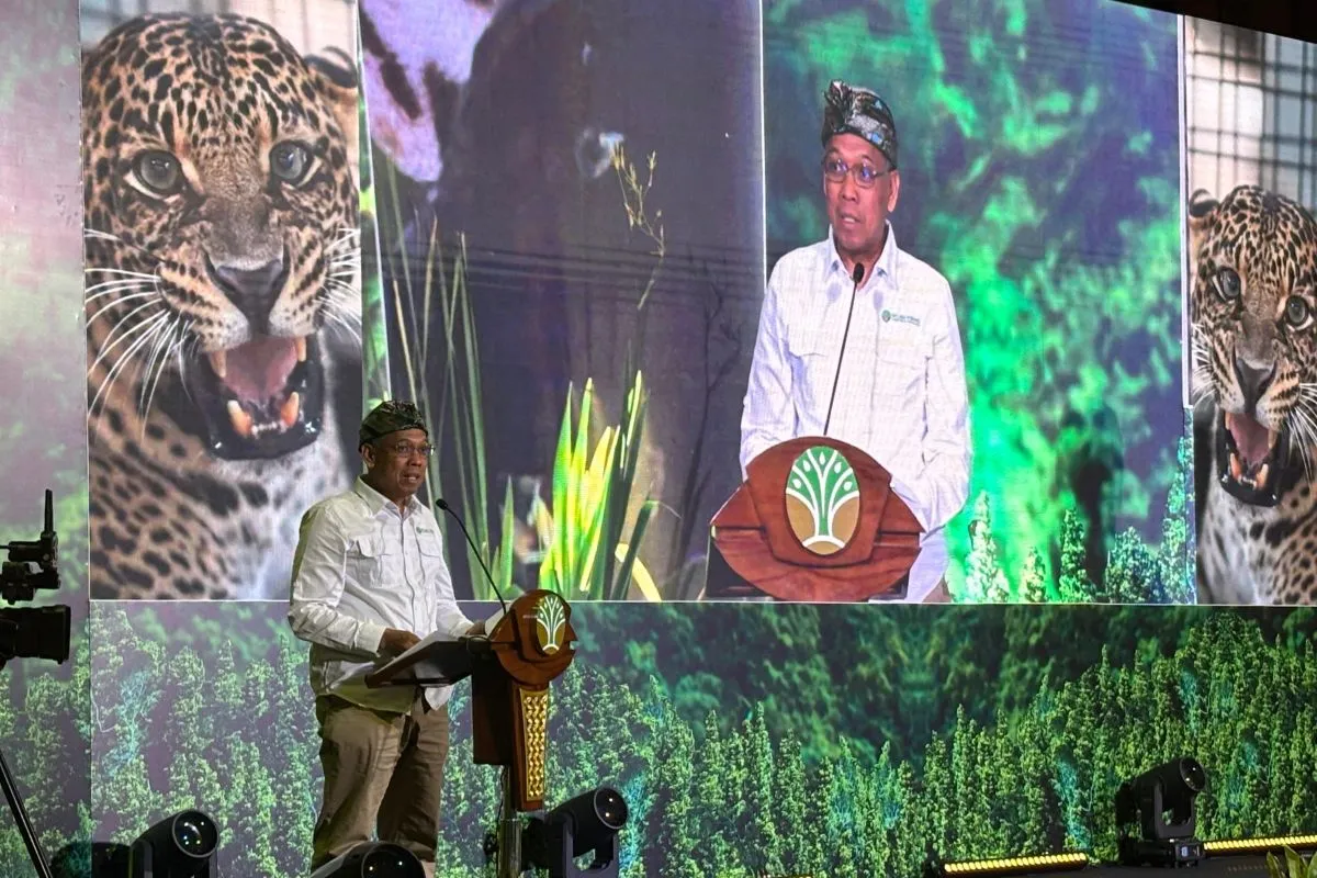 Mengungkap Populasi Macan Tutul Jawa: Survei Konservasi di Pulau Jawa
