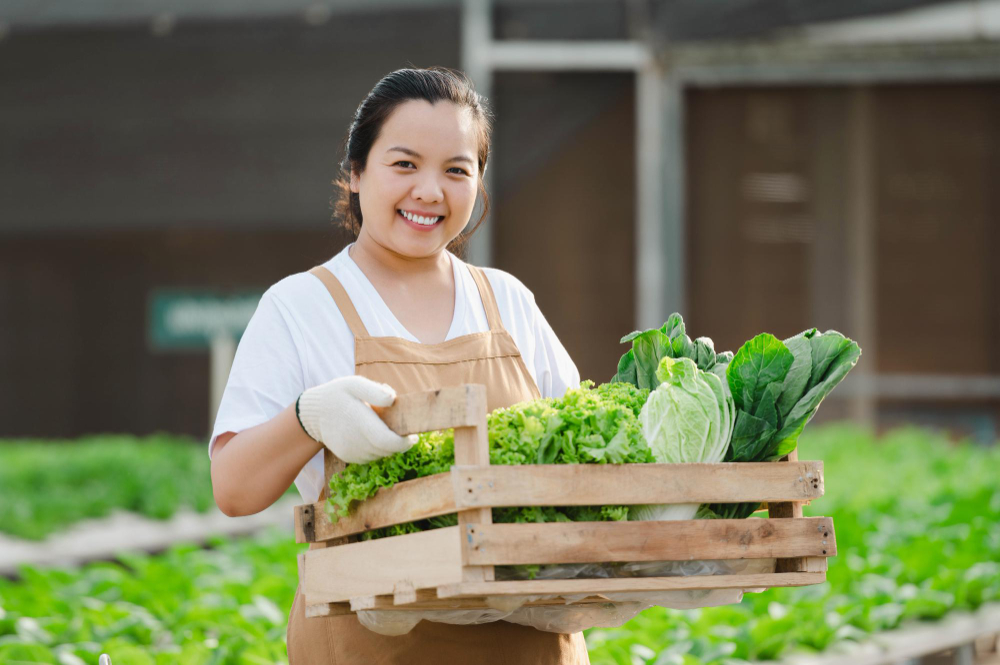 Bisnis sayuran organik