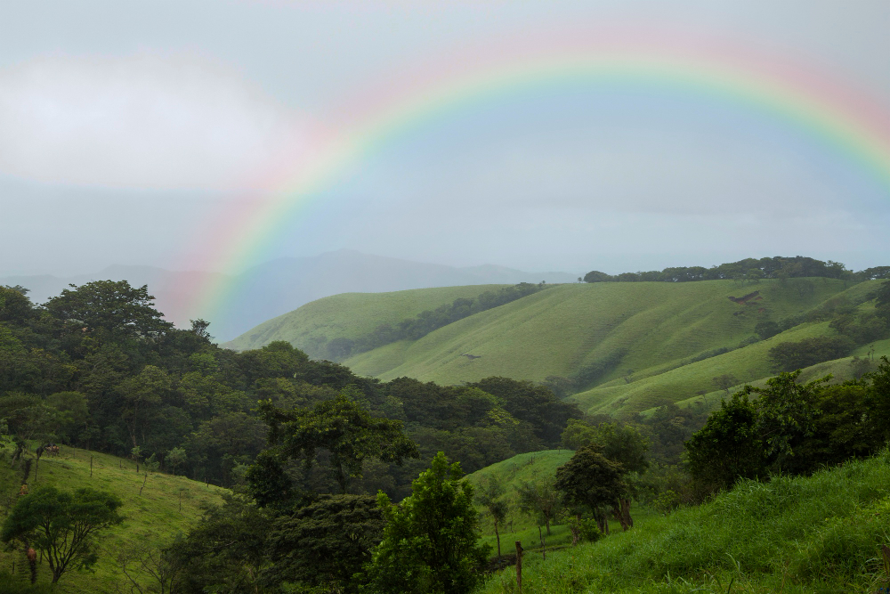 Pelangi